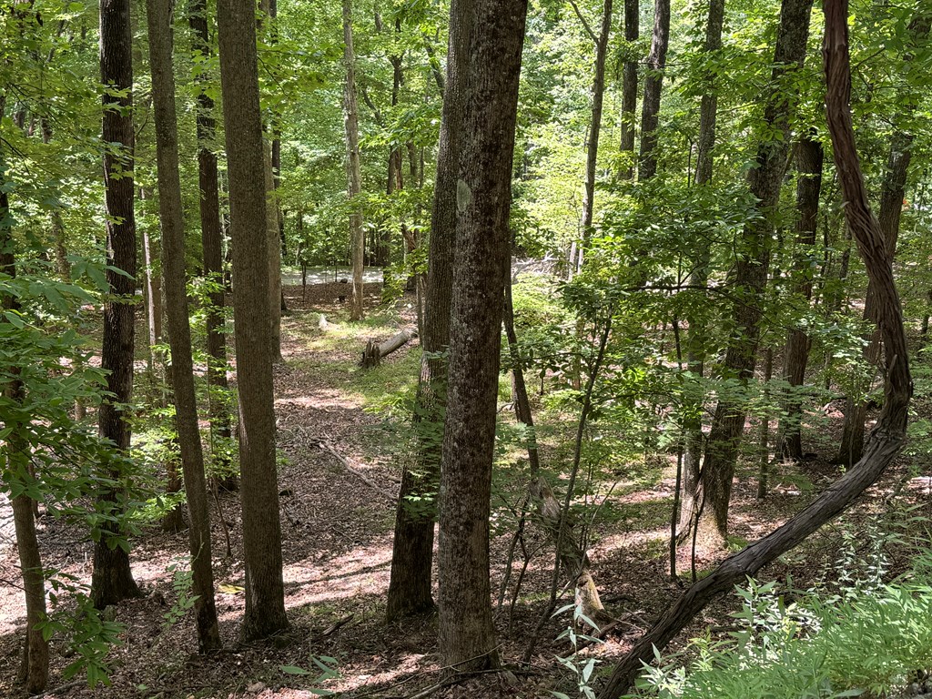 417615 Morganton Land