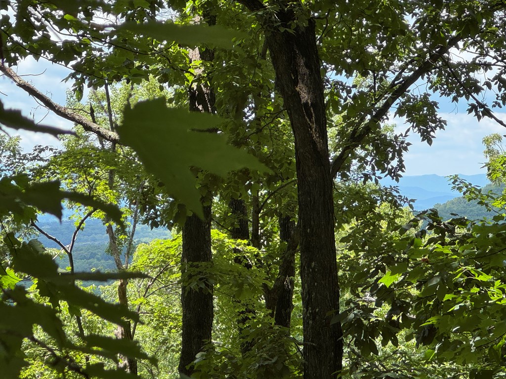 417615 Morganton Land
