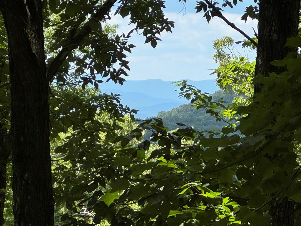 417616 Morganton 