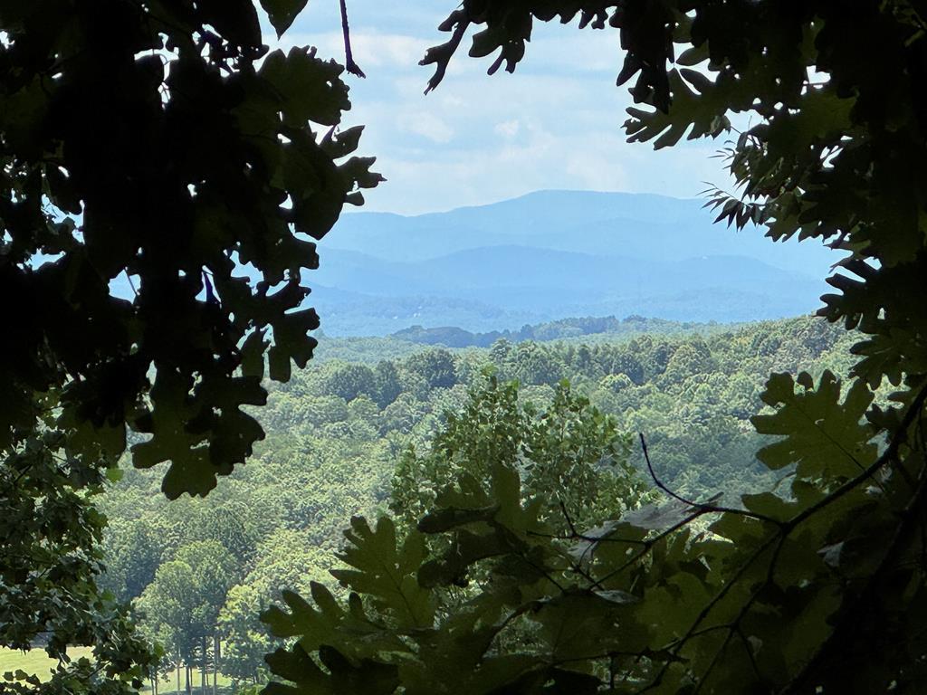 417616 Morganton Land