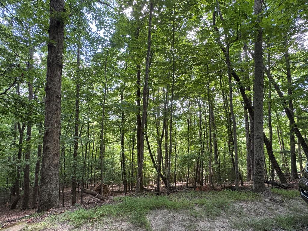 417616 Morganton Land