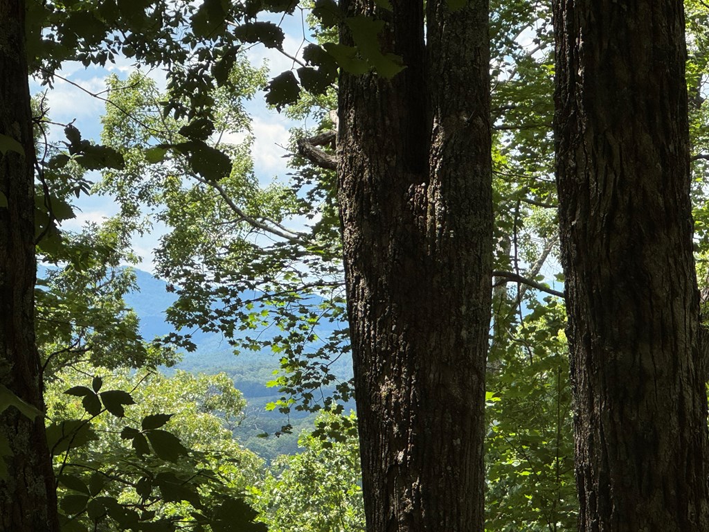 417616 Morganton Land