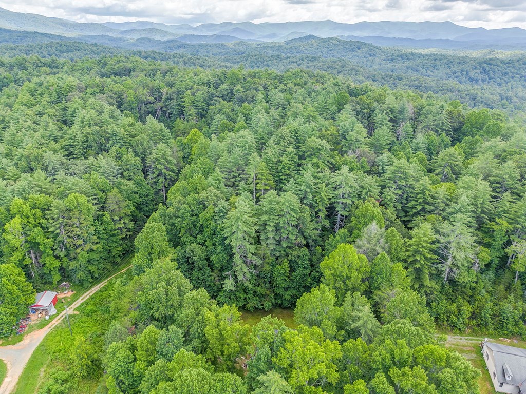 417619 Ellijay Residential