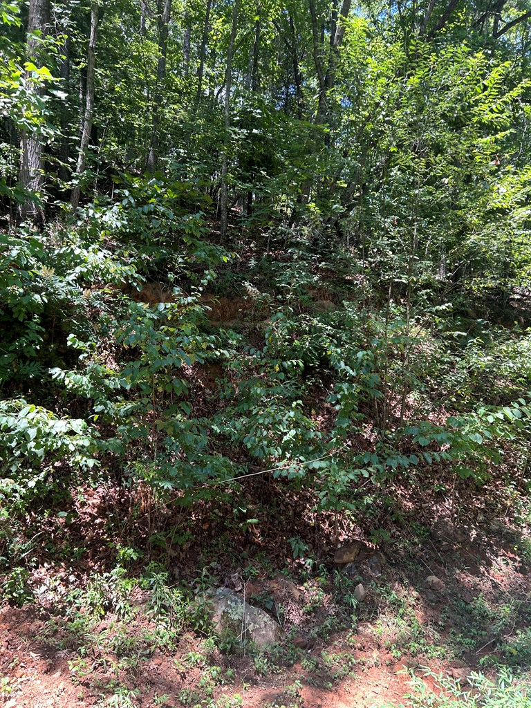 417622 Murphy Land