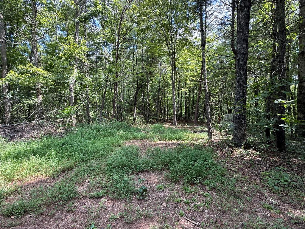 417623  Land