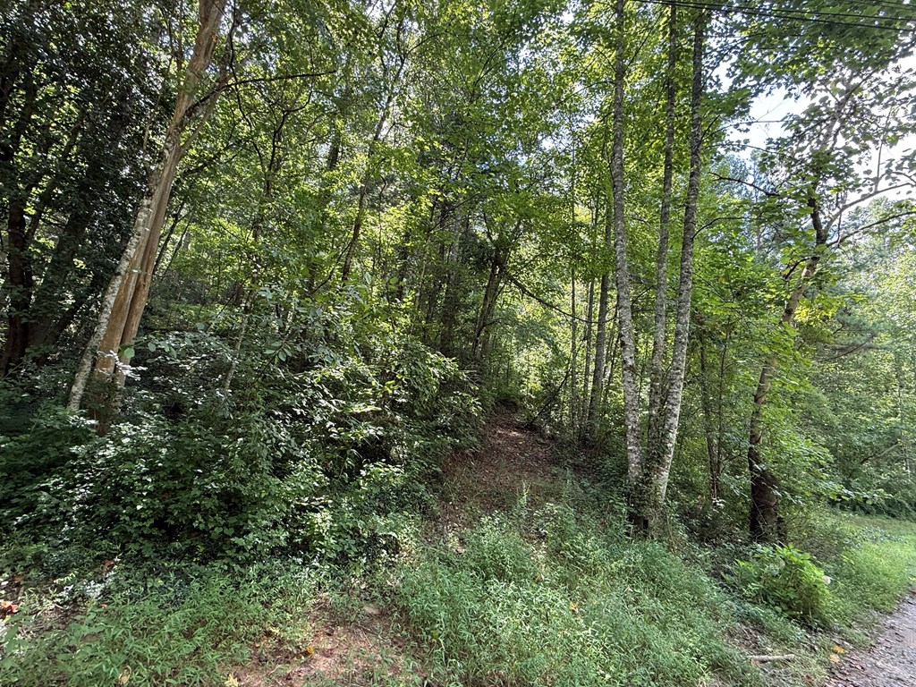 417623 Ellijay Land