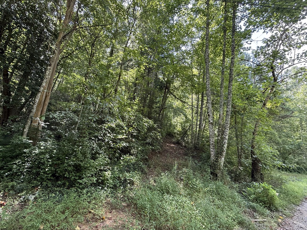 417623 Ellijay Land