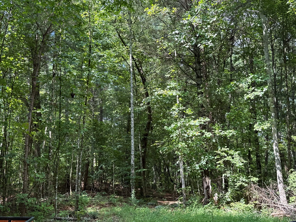 417623 Ellijay Land