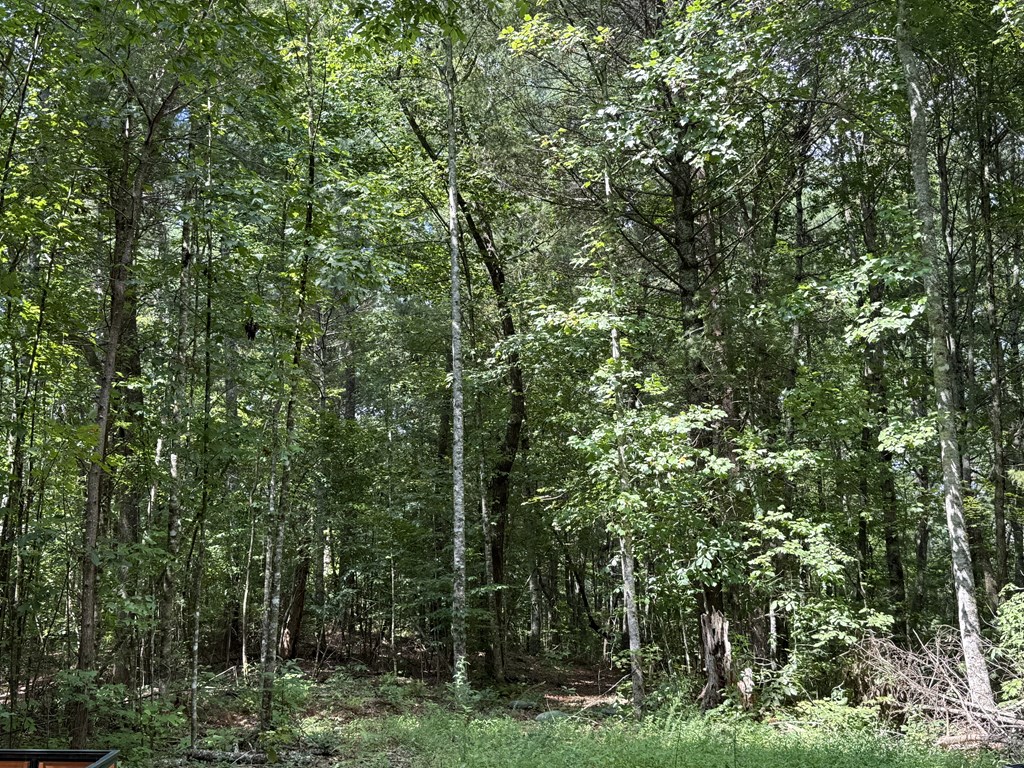 417623 Ellijay Land