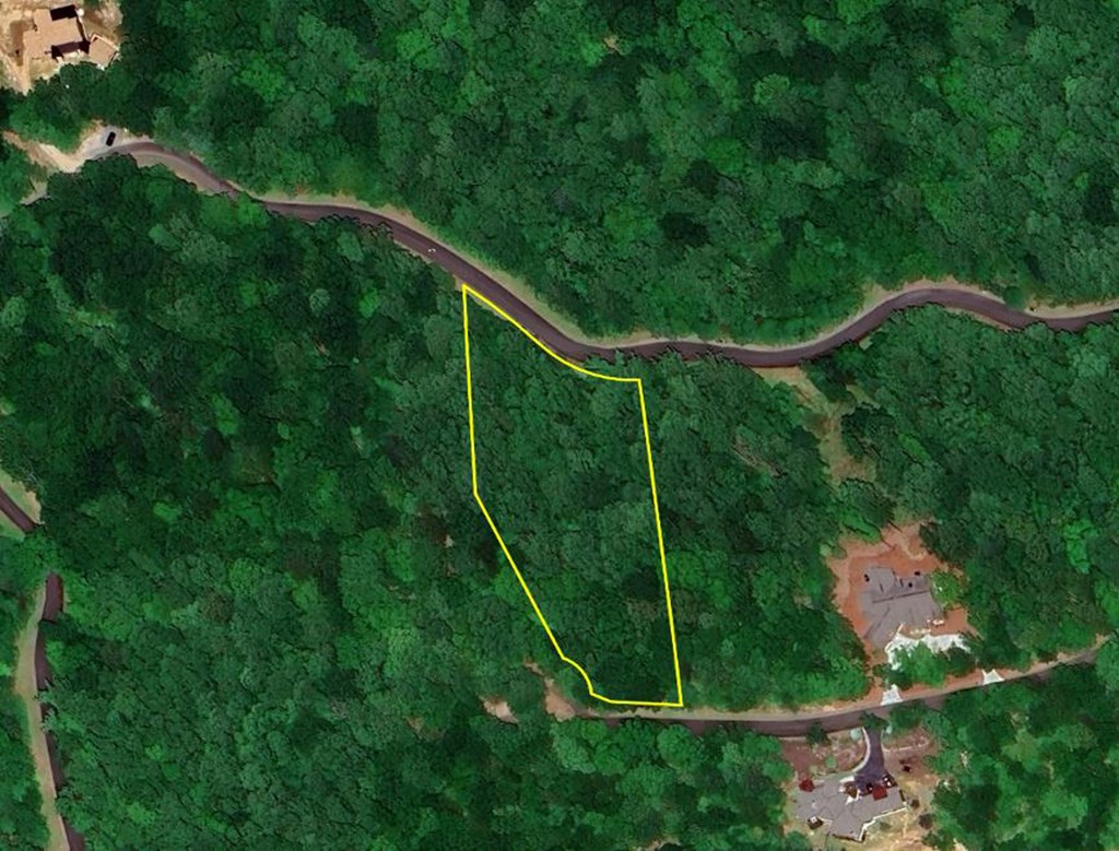 417625 Ellijay Land
