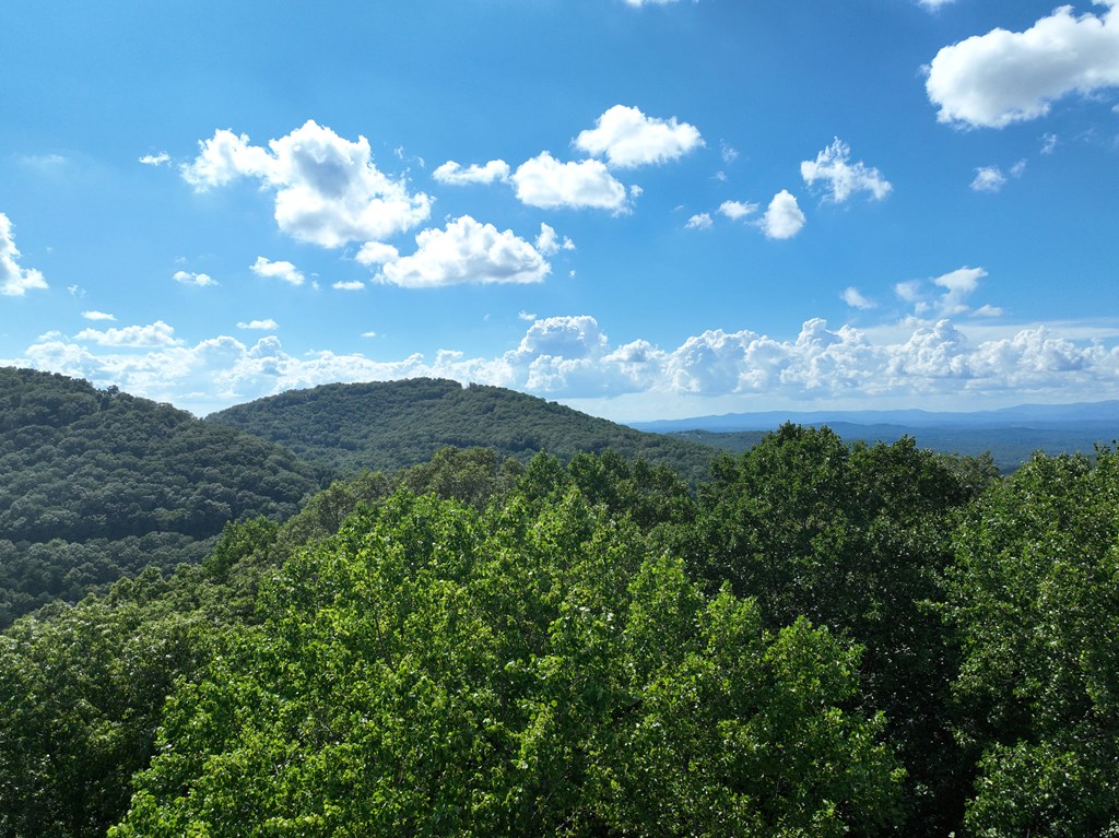 417625 Ellijay Land