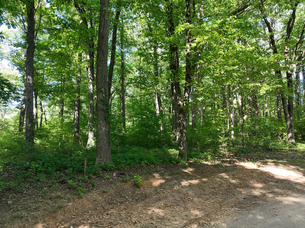 417625 Ellijay Land