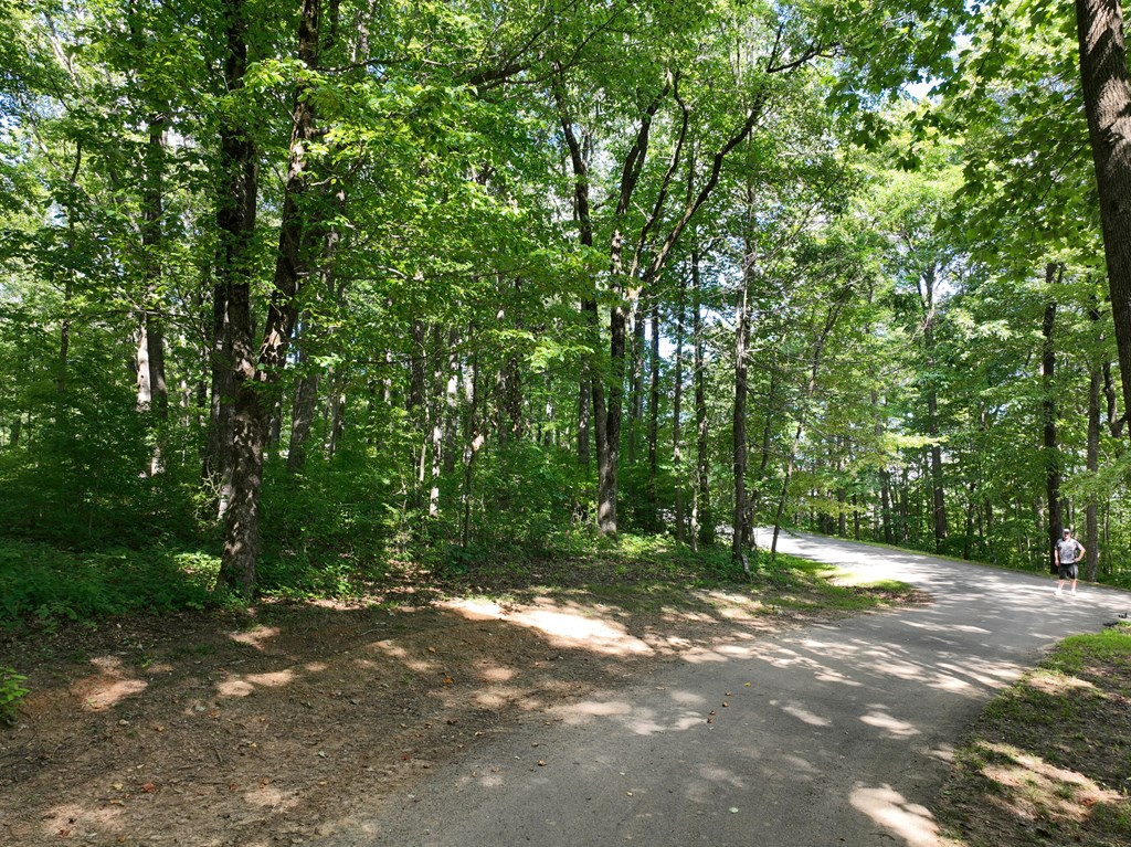 417625 Ellijay Land
