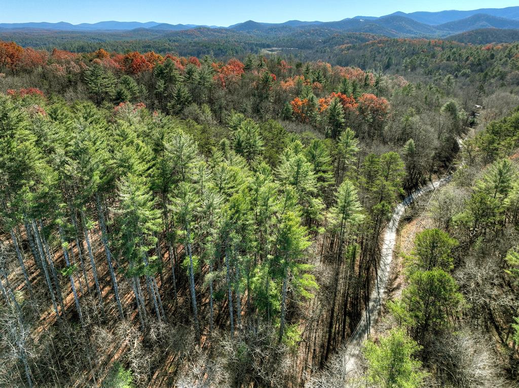 417627 Blue Ridge 