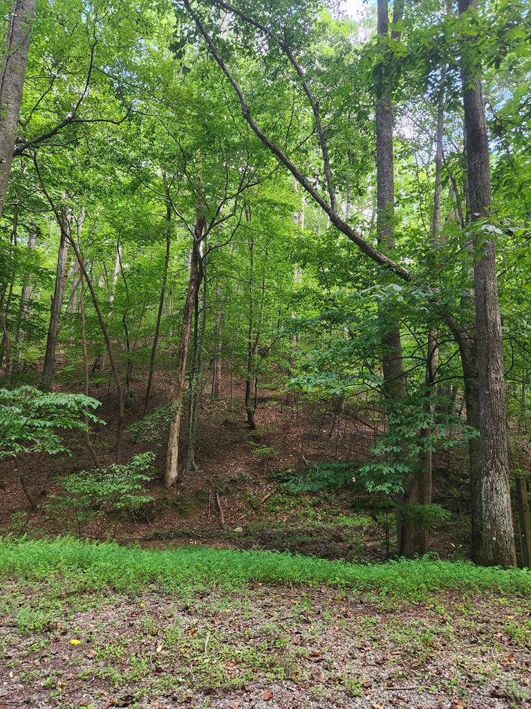 417634 Ellijay 