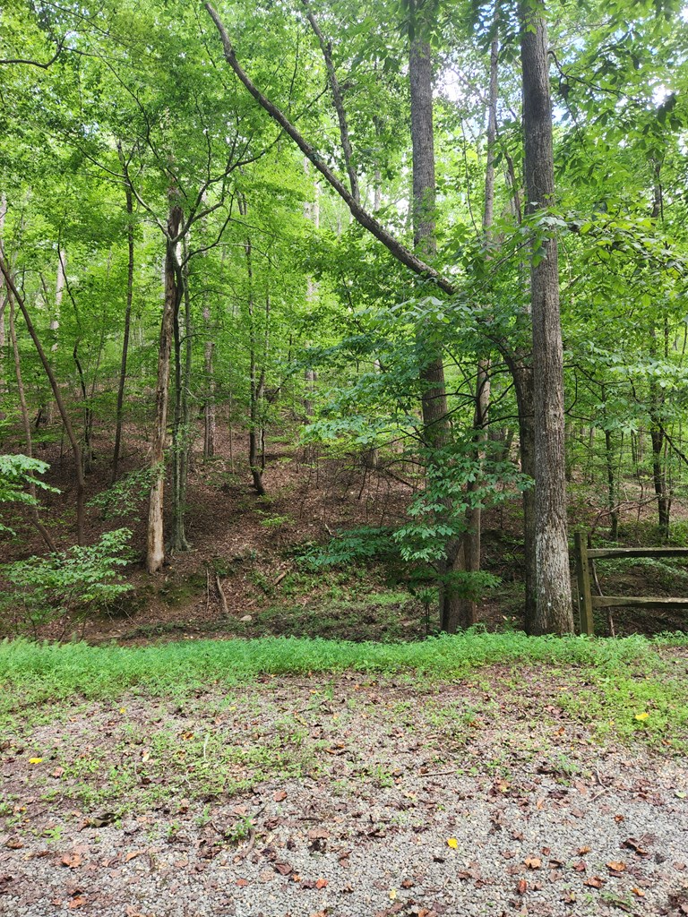 417634 Ellijay Land