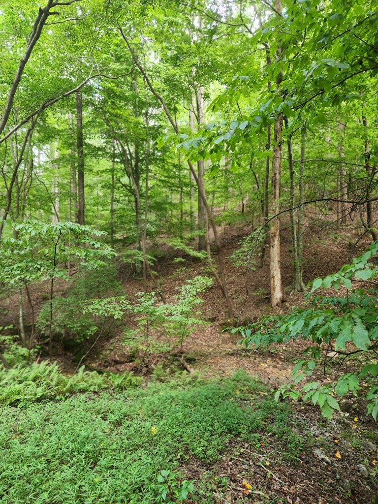 417634 Ellijay Land