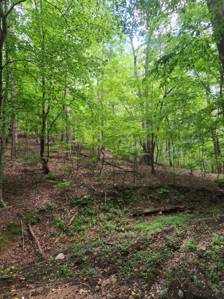 417634 Ellijay Land