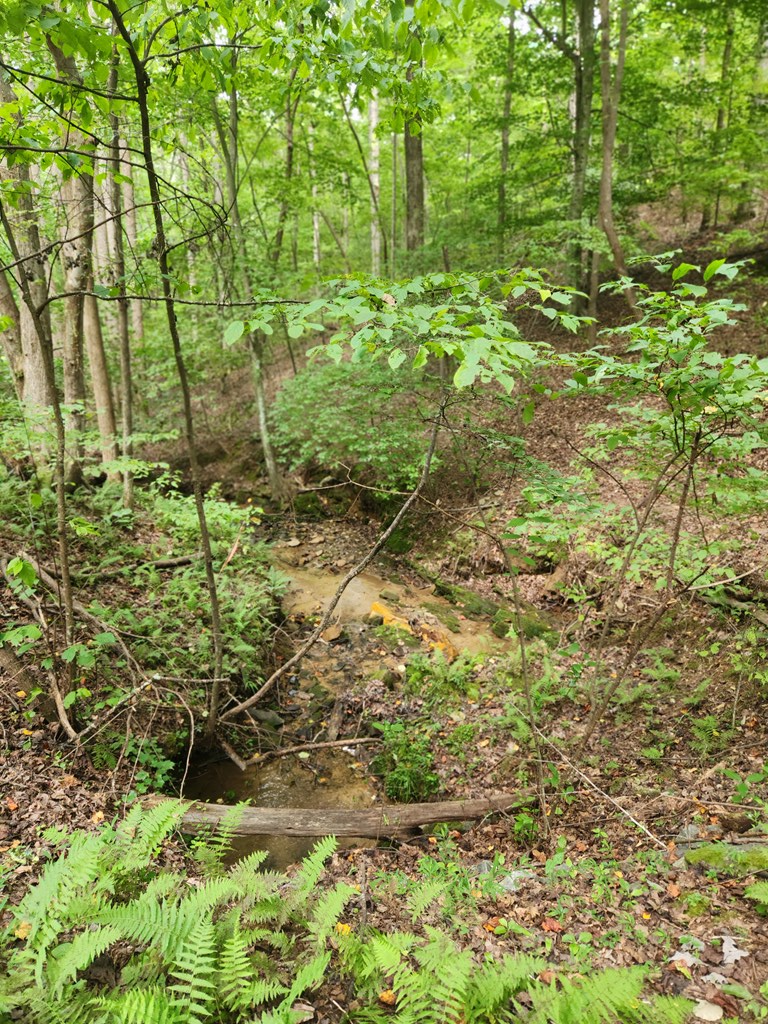 417634 Ellijay Land