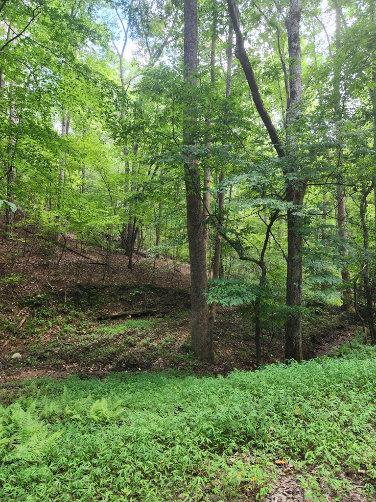 417634 Ellijay Land