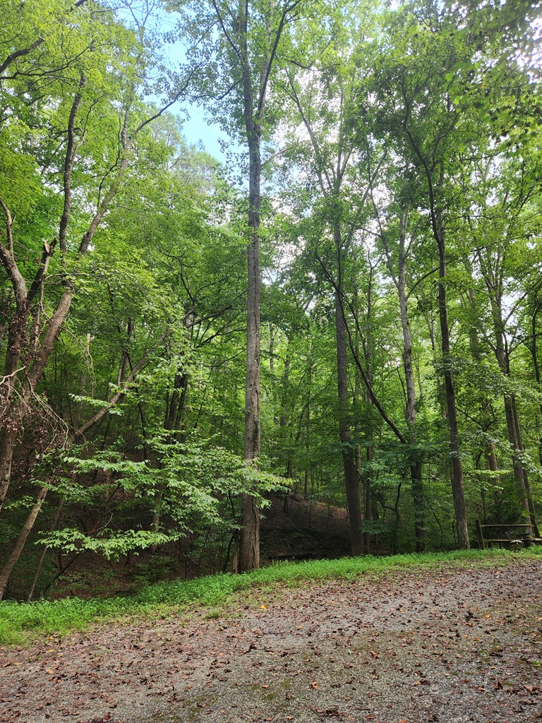 417634 Ellijay Land