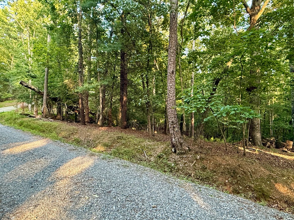 417643 Ellijay Land