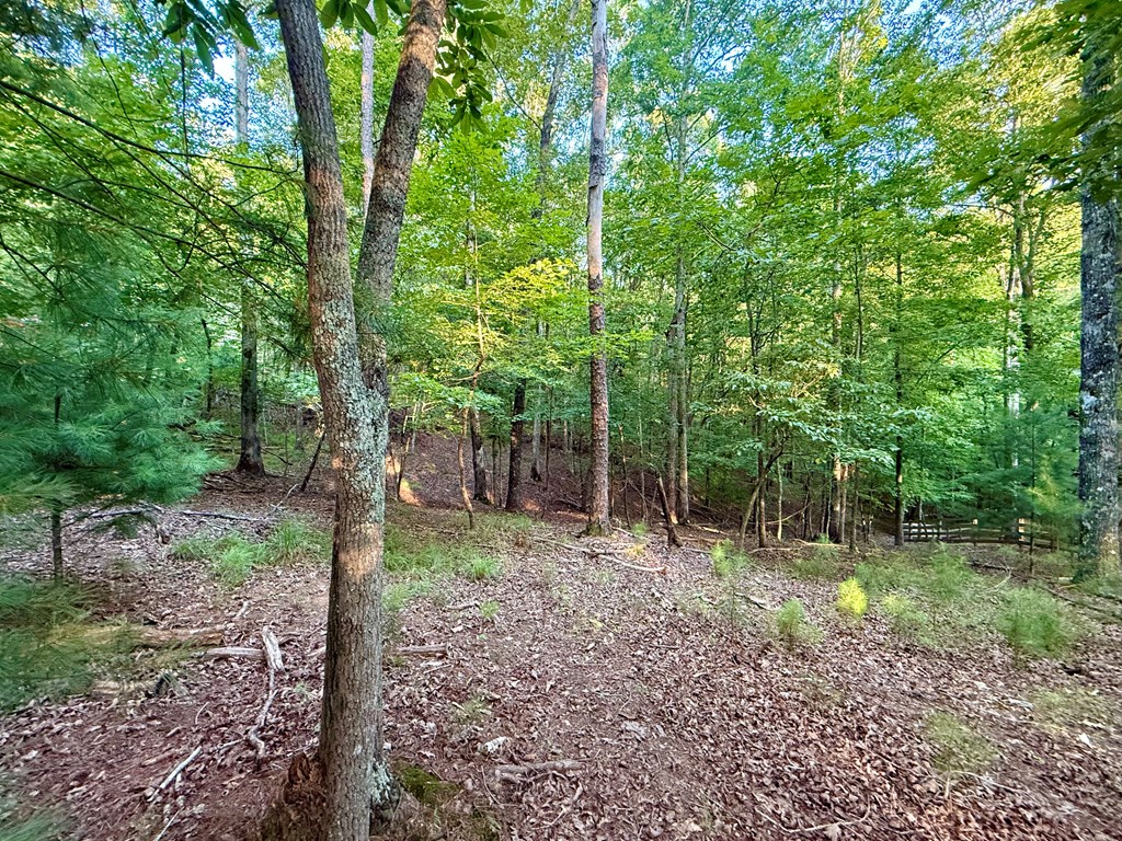 417643 Ellijay Land