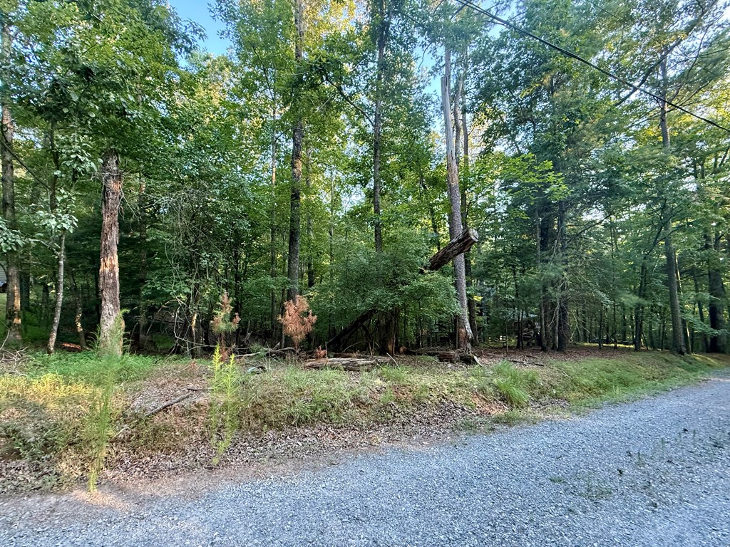 417643 Ellijay Land