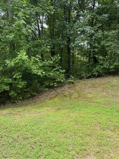 417649 Ellijay 