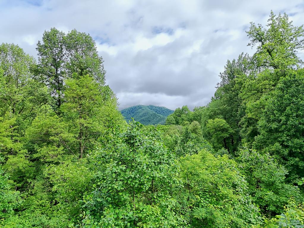 417650 Bryson City 