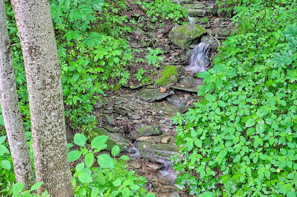 417650 Bryson City Land