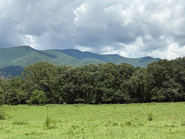 417658 Hayesville 