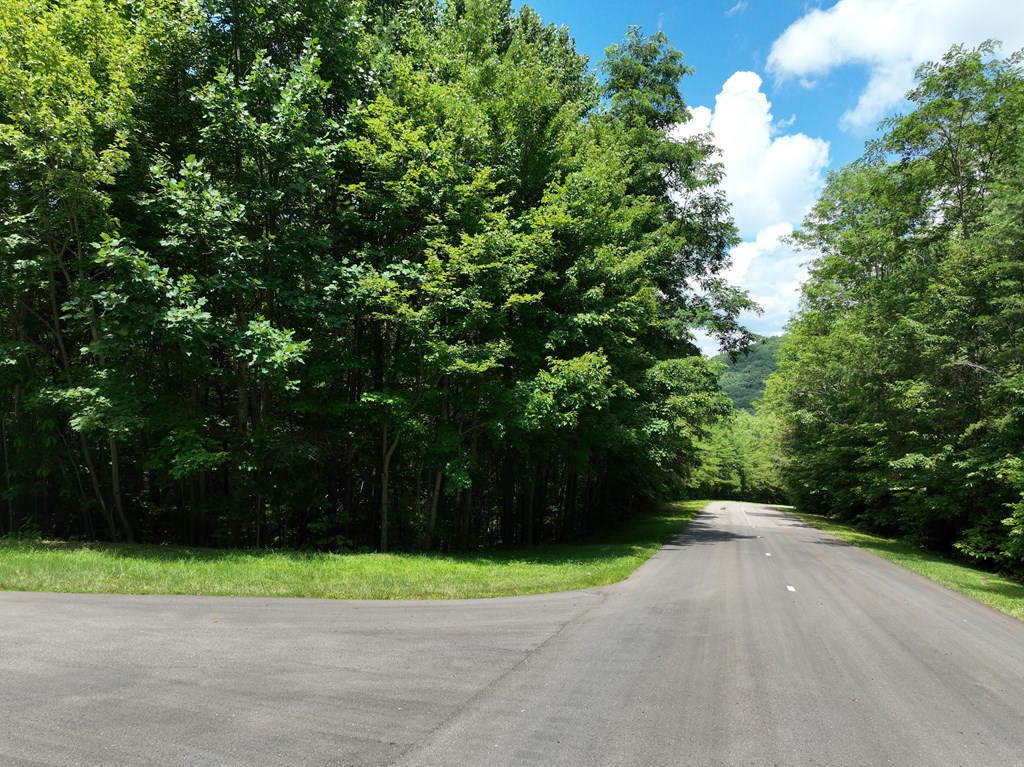 417669 Ellijay Land