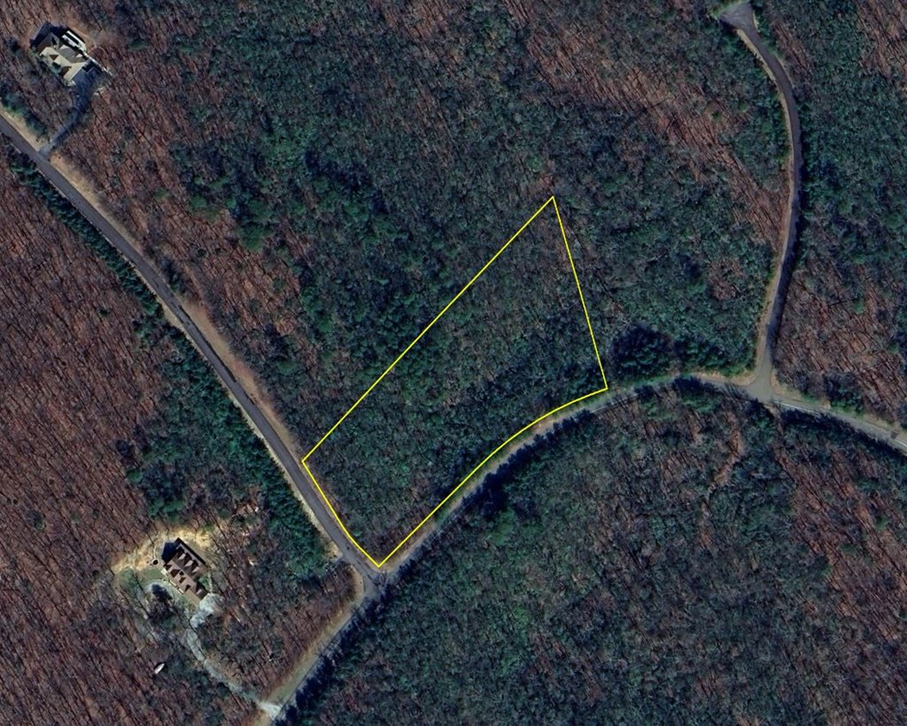 417669 Ellijay Land