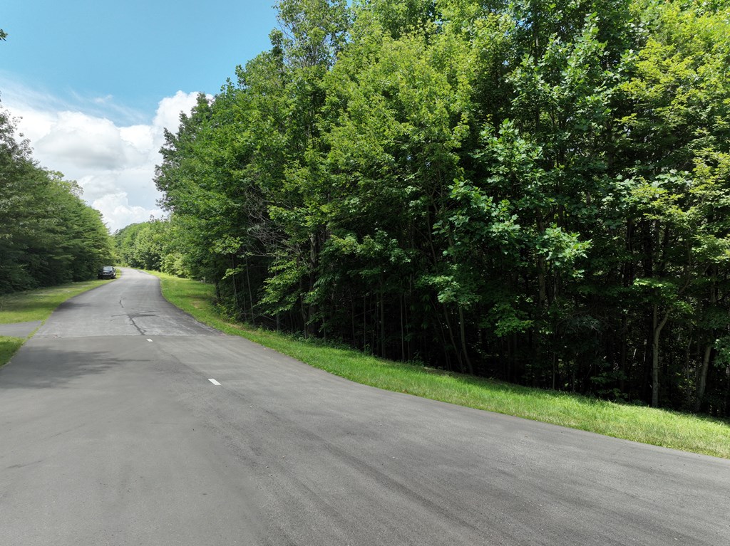 417669 Ellijay Land