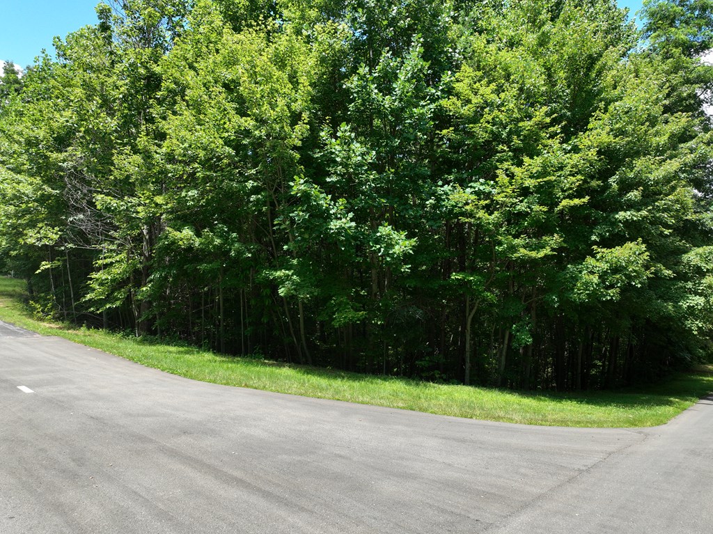 417669 Ellijay Land