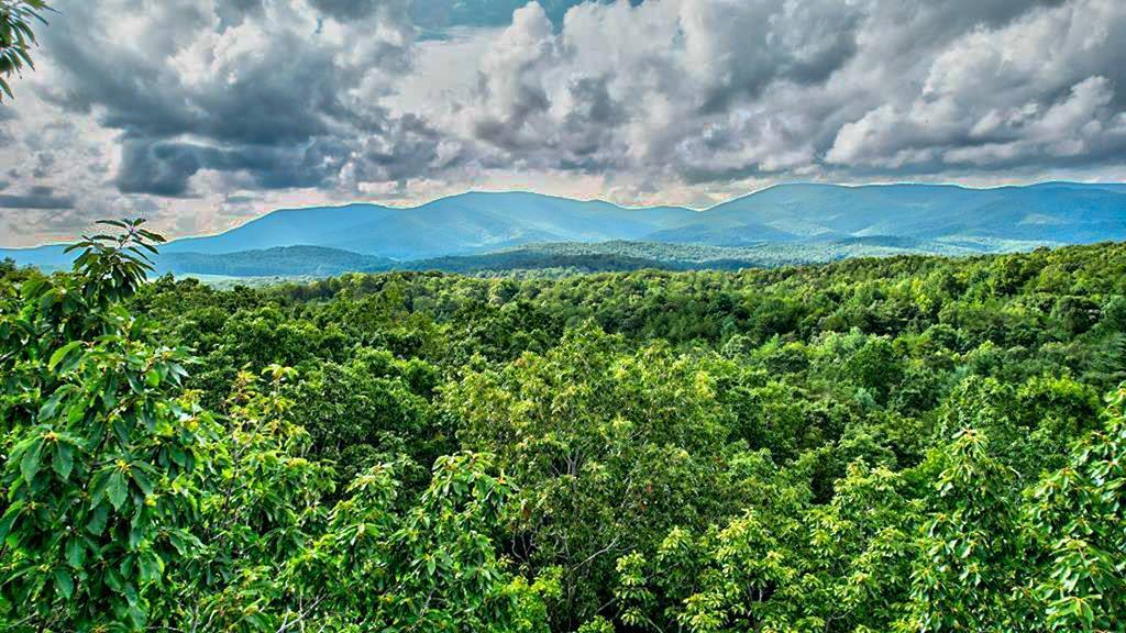 417679 Ellijay 