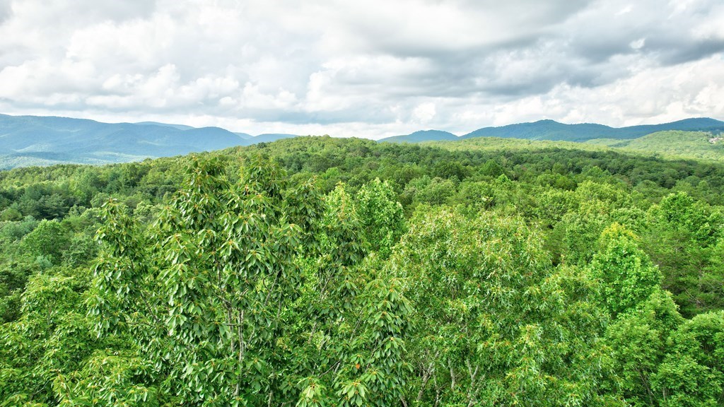 417680 Ellijay Land