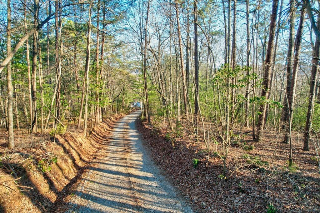 417680 Ellijay Land