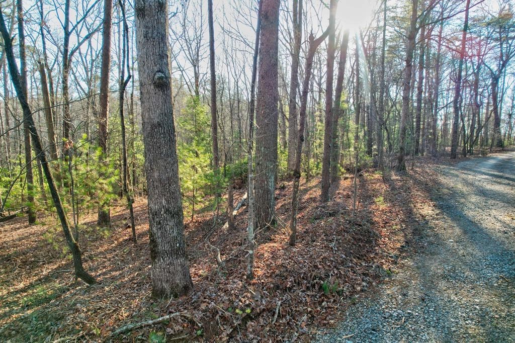 417680 Ellijay Land