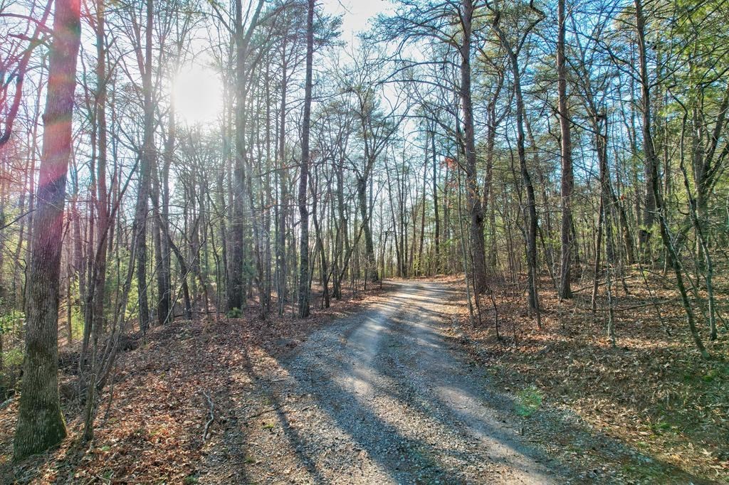 417680 Ellijay Land