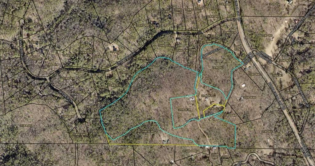 417680 Ellijay Land
