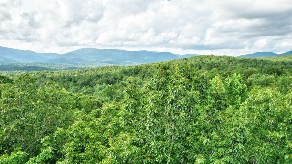 417680 Ellijay Land