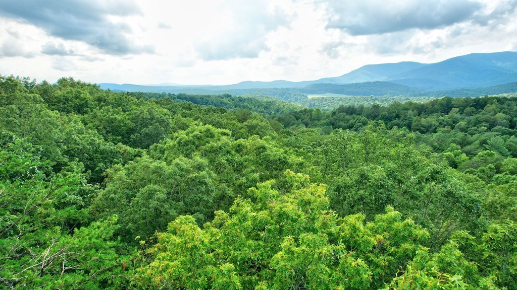 417680 Ellijay Land