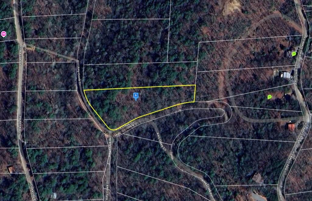 417685 Ellijay Land