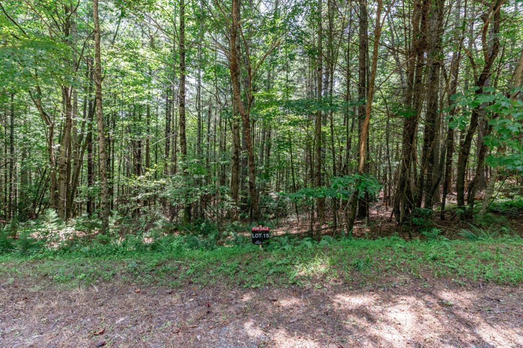 417688 Mineral Bluff Land