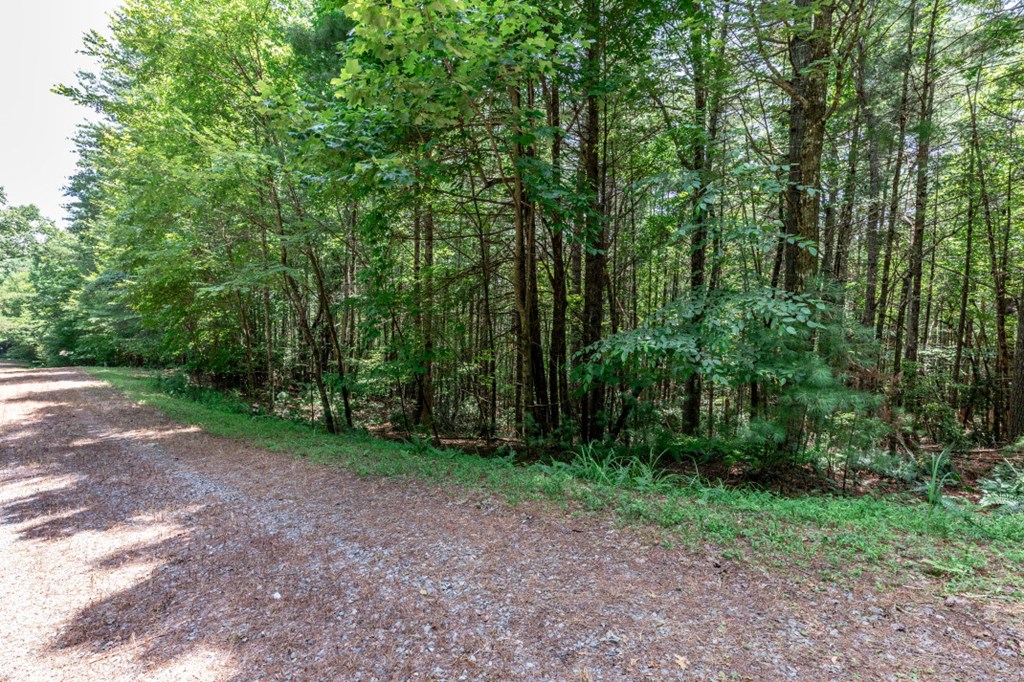 417688 Mineral Bluff Land