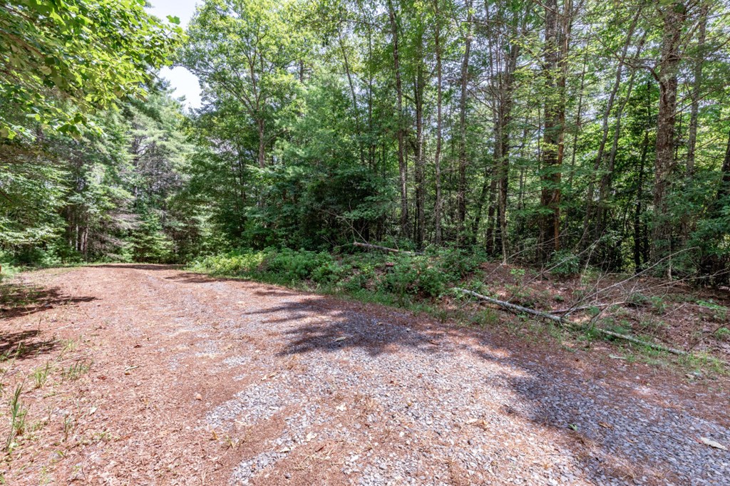417689 Mineral Bluff Land