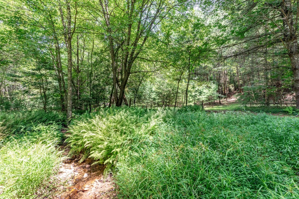 417689 Mineral Bluff Land