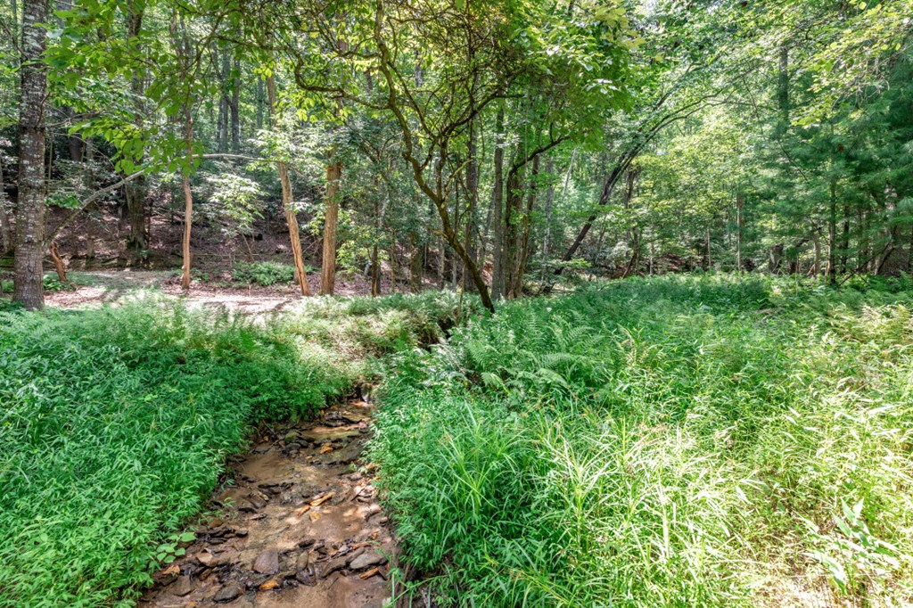 417689 Mineral Bluff Land